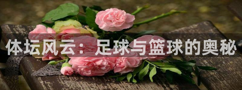 vsport体育官方正版app娱乐网站:体坛风云:足球与篮球