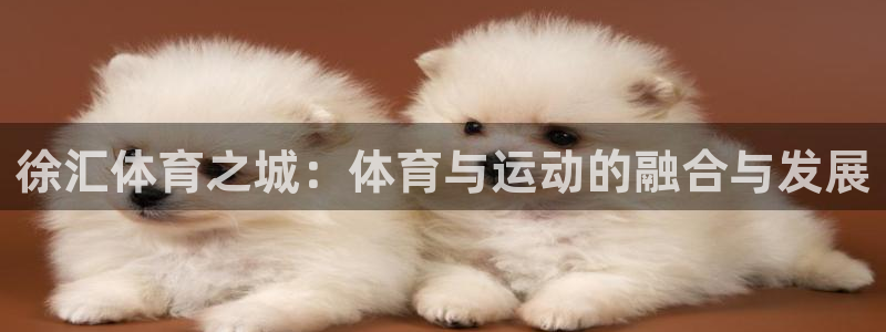 vsport体育官网下载平台假的吗是真的吗吗:徐汇体育之城: