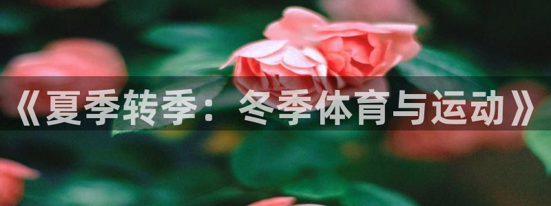 vsport体育官网下载注册:《夏季转季:冬季体育与运动》