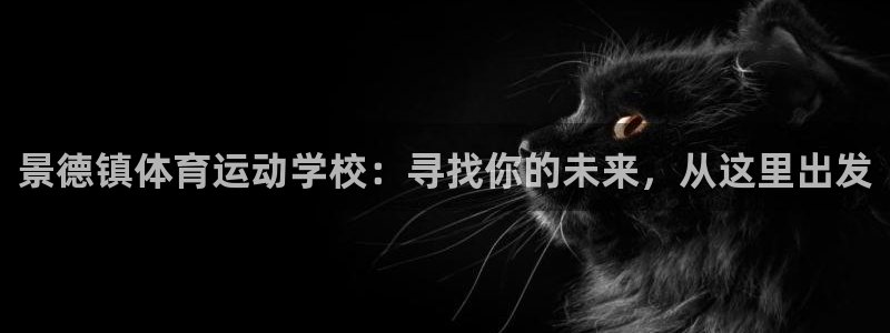 vsport体育官网下载联系电话:景德镇体育运动学校:寻找你