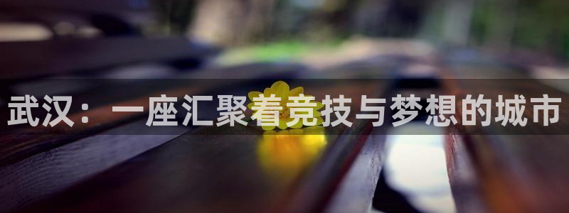 vsport体育官网下载联系电话:武汉:一座汇聚着竞技与梦想